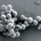 Illustration for article titled Mad Scientist Creates Living Cell, Potentially Dooming Us All